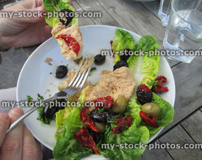 Stock image of plate of Greek style mezze with hummus / houmous