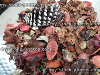 Stock image of scented pot pourri, cinnamon sticks, dried petals, flowers, wood shavings, pine cones, perfumed spices