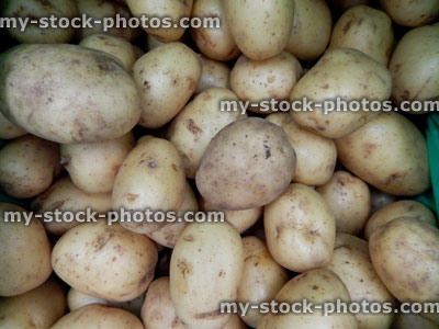 Stock image of freshly dug potatoes (Maris Piper), supermarket, fruit / vegetable shop, greengrocer