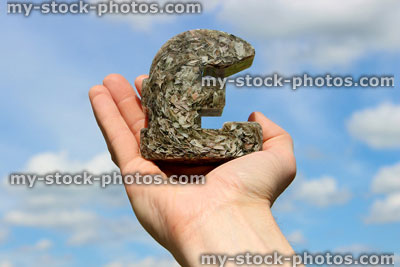 Stock image of Great British Pound (GBP) currency symbol of ornament 