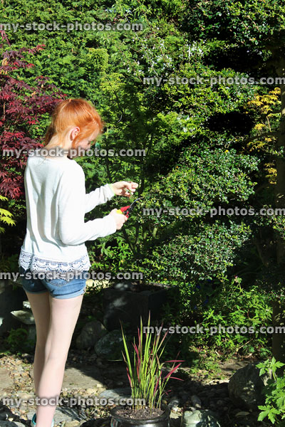Stock image of girl pruning Japanese cloud tree in oriental garden