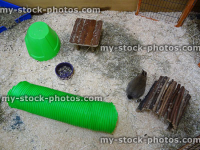 Stock image of indoor rabbit run cage / pen, tunnels, wooden house, woodshavings / sawdust