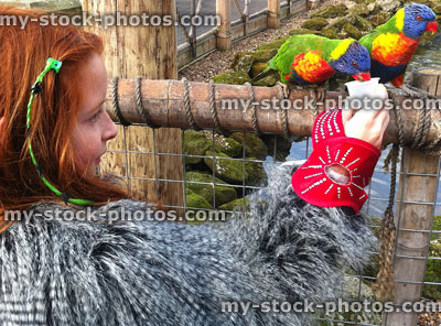 Stock image of red haired girl feeding Rainbow Lorikeets