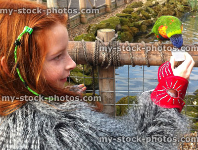 Stock image of red haired girl feeding Rainbow Lorikeets