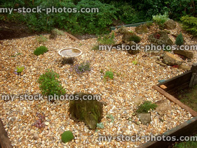 Stock image of raised bed / scree garden with rocks, Alpine plants
