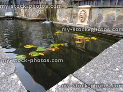 Stock image of rectangular raised formal pond, water lilies, waterfall / water feature