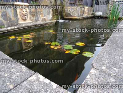 Stock image of rectangular raised formal pond, water lilies, waterfall / water feature