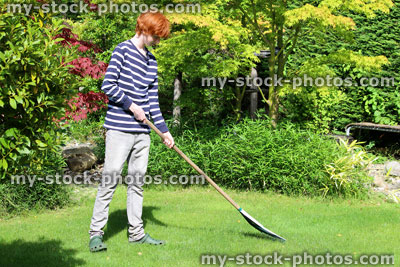 Stock image of gardener raking lawn, raking leaves from grass, garden rake