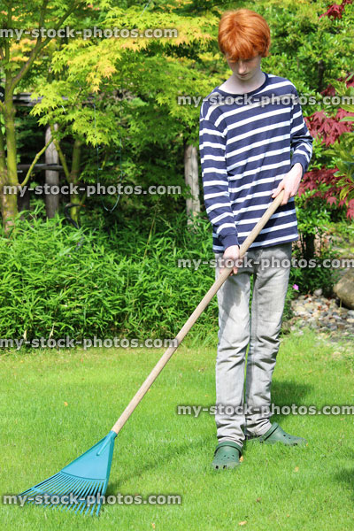 Stock image of gardener raking lawn, raking leaves from grass, garden rake