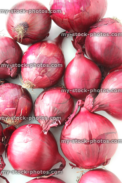 Stock image of dried purple / red onions on white background, fresh vegetables