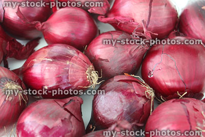 Stock image of dried purple / red onions, allium group, mild flavour