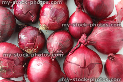 Stock image of dried purple / red onions group, white background, fresh vegetables