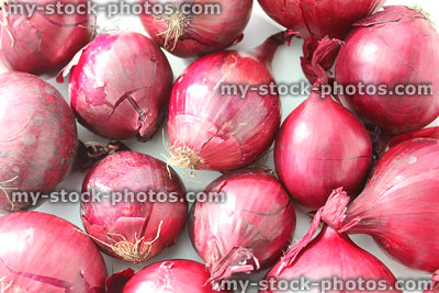 Stock image of fresh purple / red onions, white background, raw vegetables