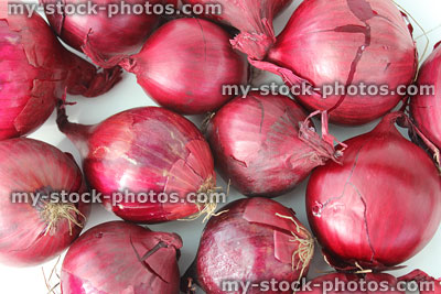 Stock image of dried purple / red onions on white background, shiny skins