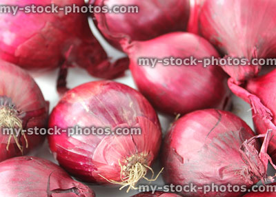 Stock image of dried purple / red onions on white background, shiny