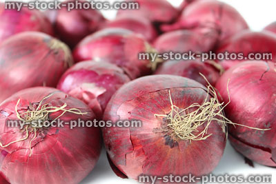Stock image of dried purple / red onions on white background, close up photo