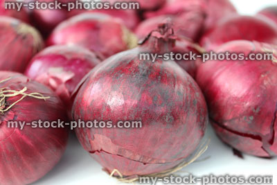 Stock image of dried purple / red onions on white background, grouped together