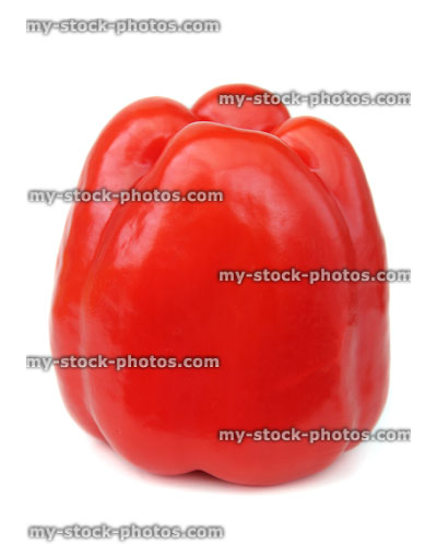 Stock image of large red pepper / capsicum, raw vegetable, white background