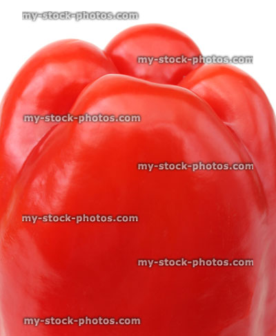 Stock image of large red pepper / capsicum, raw vegetable, white background