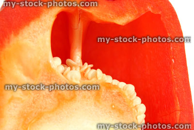 Stock image of large red pepper / capsicum, raw vegetable, cut in half