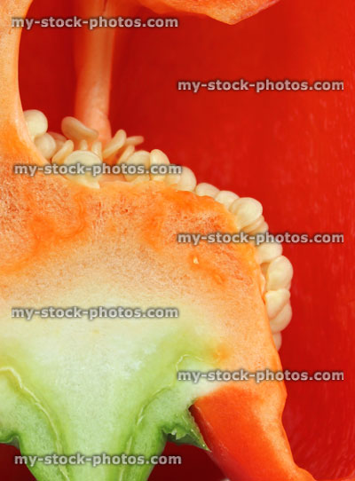 Stock image of large red pepper / capsicum, raw vegetables, sliced in half