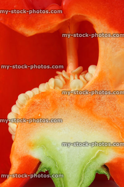 Stock image of half a red pepper / capsicum, raw vegetable, seeds