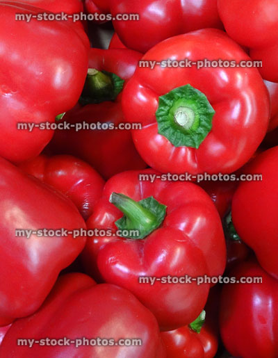 Stock image of red bell peppers / red peppers (capsicums), supermarket crate