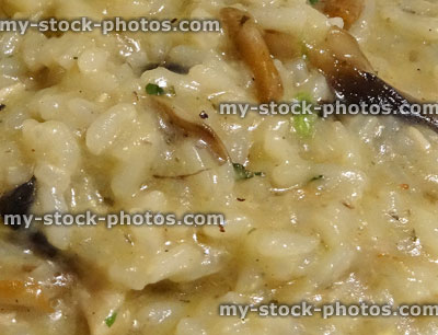 Stock image of chicken and mushroom risotto rice dish, restaurant meal