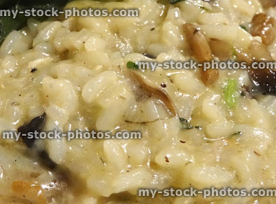 Stock image of chicken and mushroom risotto rice dish, restaurant meal