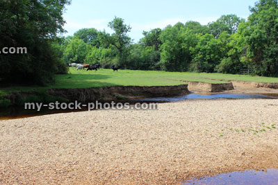 Stock image of dried up riverbed, river drying up, summer drought, no rain