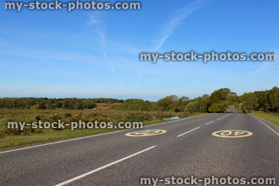 Stock image of road with 40 mph speed limit painted tarmac, New Forest