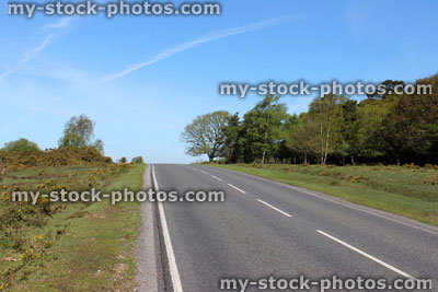 Stock image of tarmac road passing through scenic landscape of New Forest, England