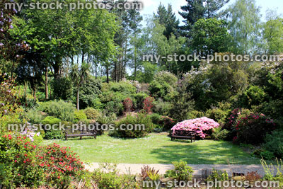 Stock image of landscaped rockery / rock garden with flowers, lawn, bench