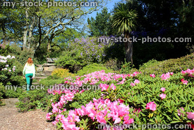 Stock image of girl in rockery / rock gardens with flowers, plants