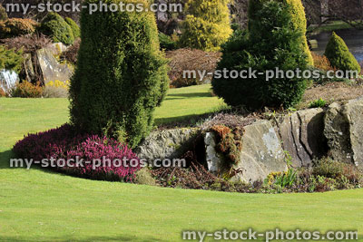 Stock image of beautiful rockery rock garden with heather flowers / dwarf conifers