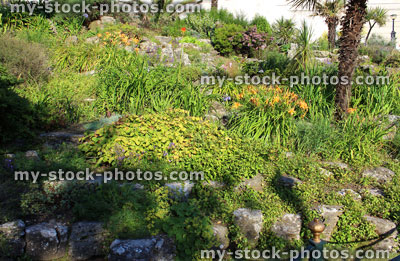 Stock image of landscaped rockery / rock garden with flowers, palm trees