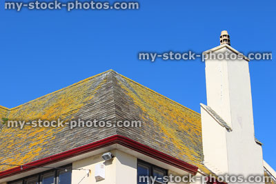 Stock image of slate roof tiles covered with yellow lichen, chimney pot