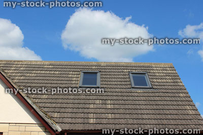 Stock image of bungalow roof with skylight windows, loft conversion / attic room
