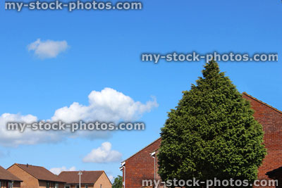 Stock image of tiled rooftops of modern, generic red brick houses