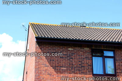 Stock image of modern red brick house, UPVC window and brown roof tiles