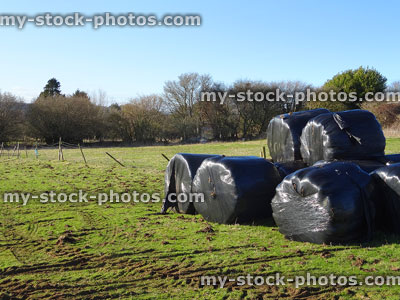 Stock image of round hay bales piled high, wrapped in black plastic
