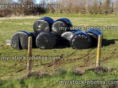 Stock image of farm field, pile of round hay bales with black plastic