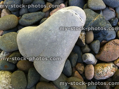 Stock image of funny rude pebble, shaped like a penis