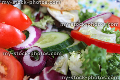 Stock image of fresh salad, lettuce leaves, cucumber, red onion rings, tomato slices, red peppers