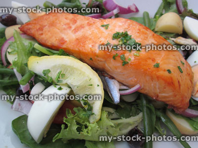 Stock image of pan fried / baked salmon nicoise dish, salad, eggs, lemon