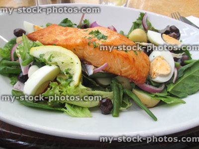 Stock image of pan fried salmon nicoise dish, salad, eggs, lemon