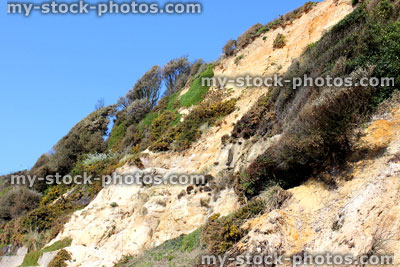 Stock image of sandy cliff alongside beach at Bournemouth