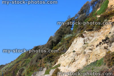 Stock image of steep sandy cliff / landslide, gradually eroding away