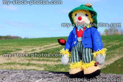 Stock image of friendly knitted scarecrow toy against field background 