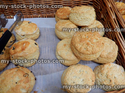 Stock image of freshly baked savoury cheese scones / sweet raisin scones, wicker basket